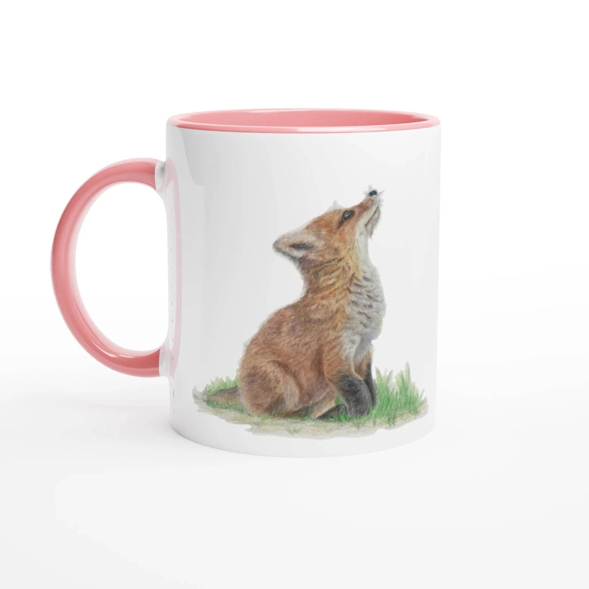 Fox Cub Collection