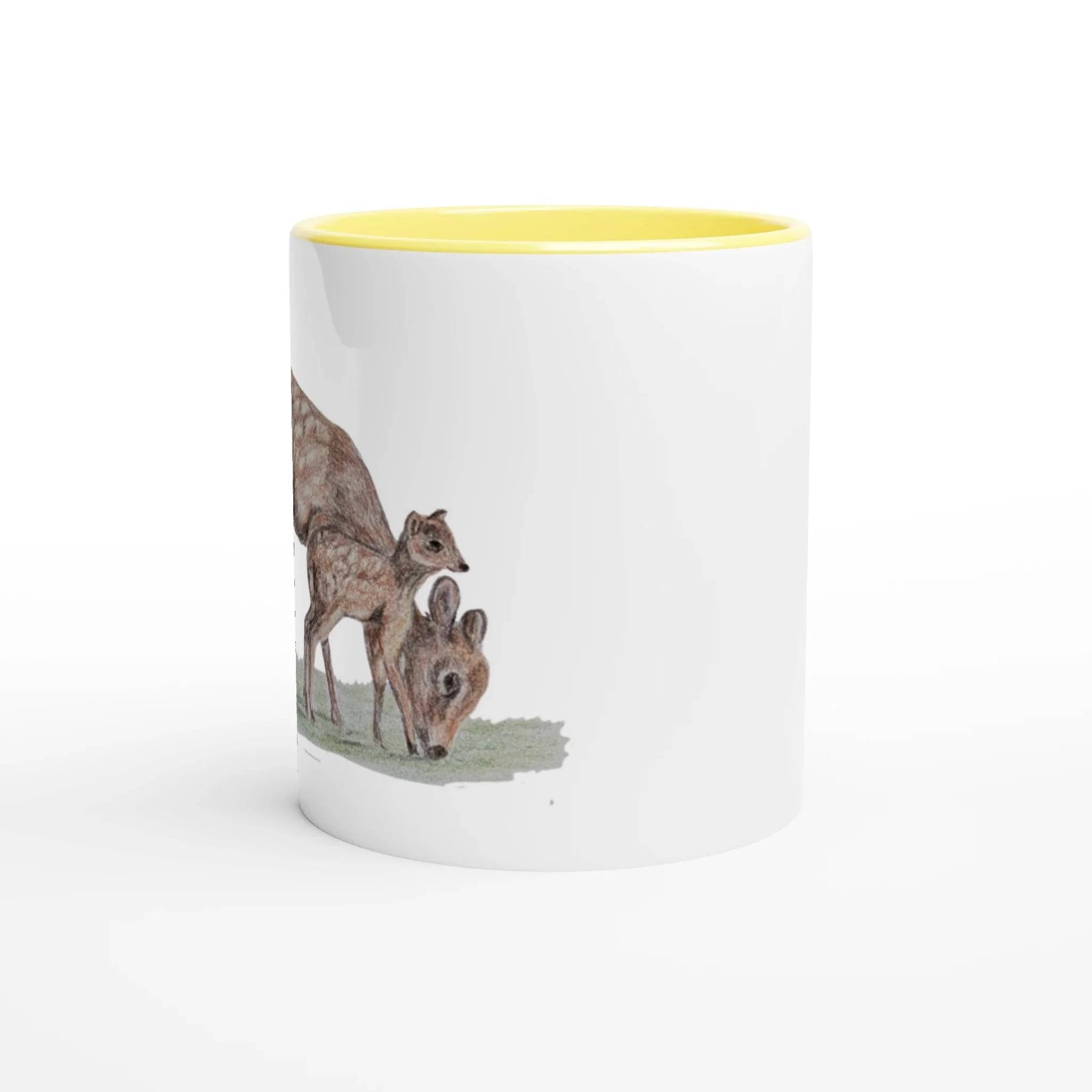 Sika Deer collection