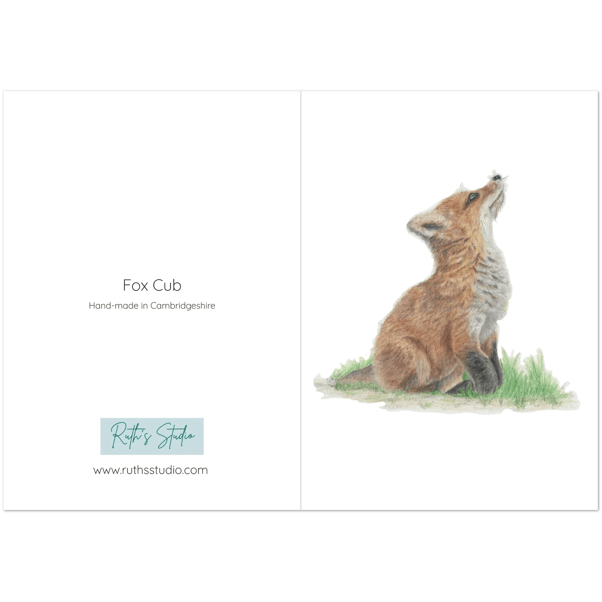 'Fox Cub' Greetings Cards (10 Pack) - Ruth's Studio 