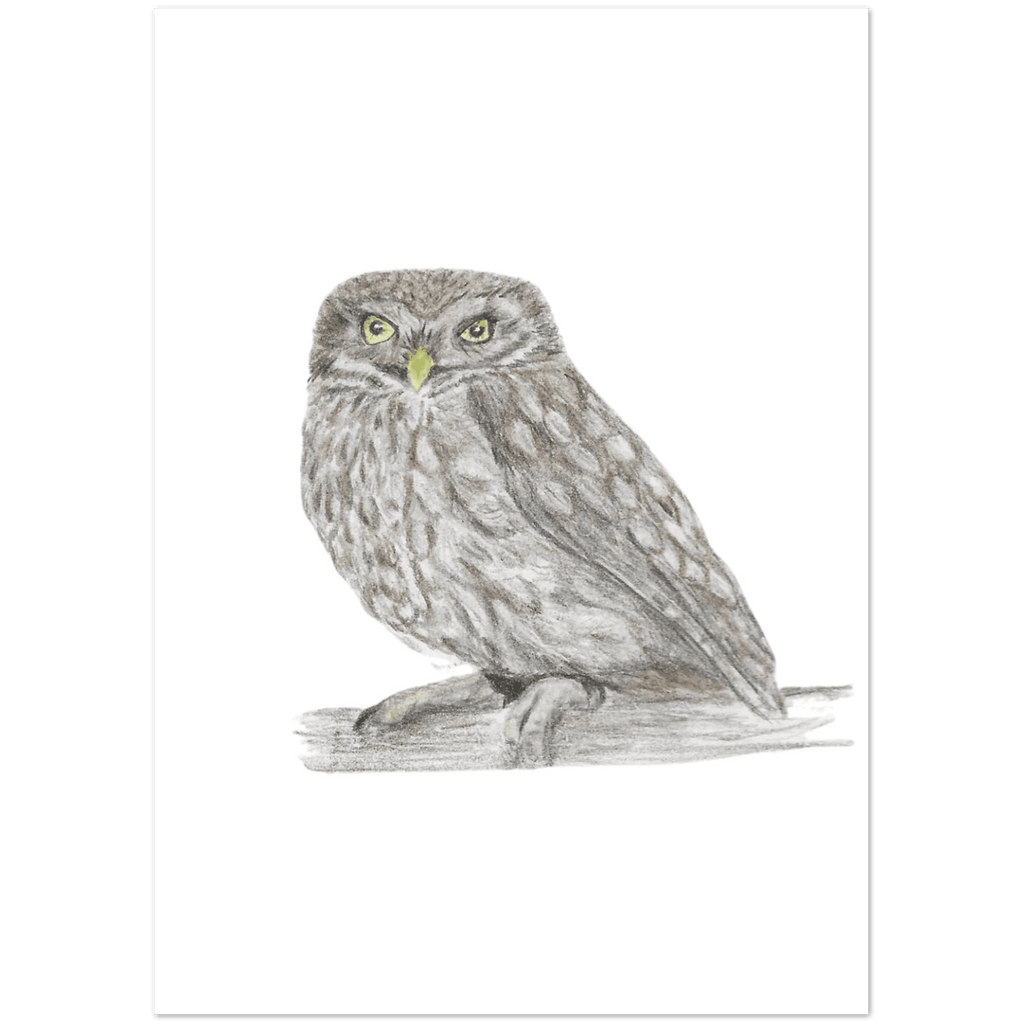 'Little Owl' Greeting Cards (10 pack) - Ruth's Studio 