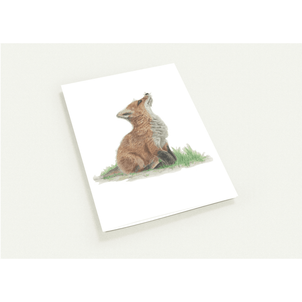 'Fox Cub' Greetings Cards (10 Pack) - Ruth's Studio 