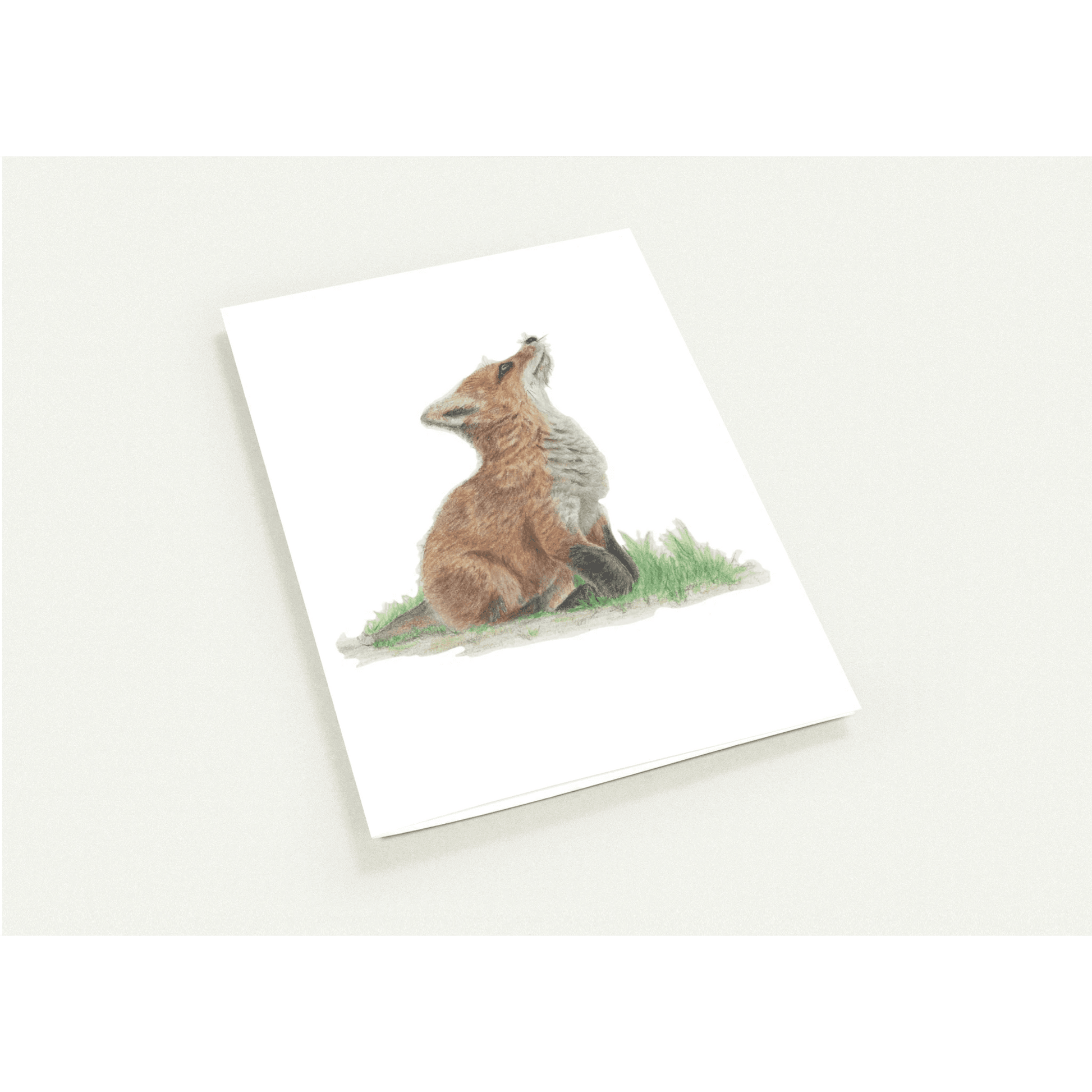 'Fox Cub' Greetings Cards (10 Pack) - Ruth's Studio 