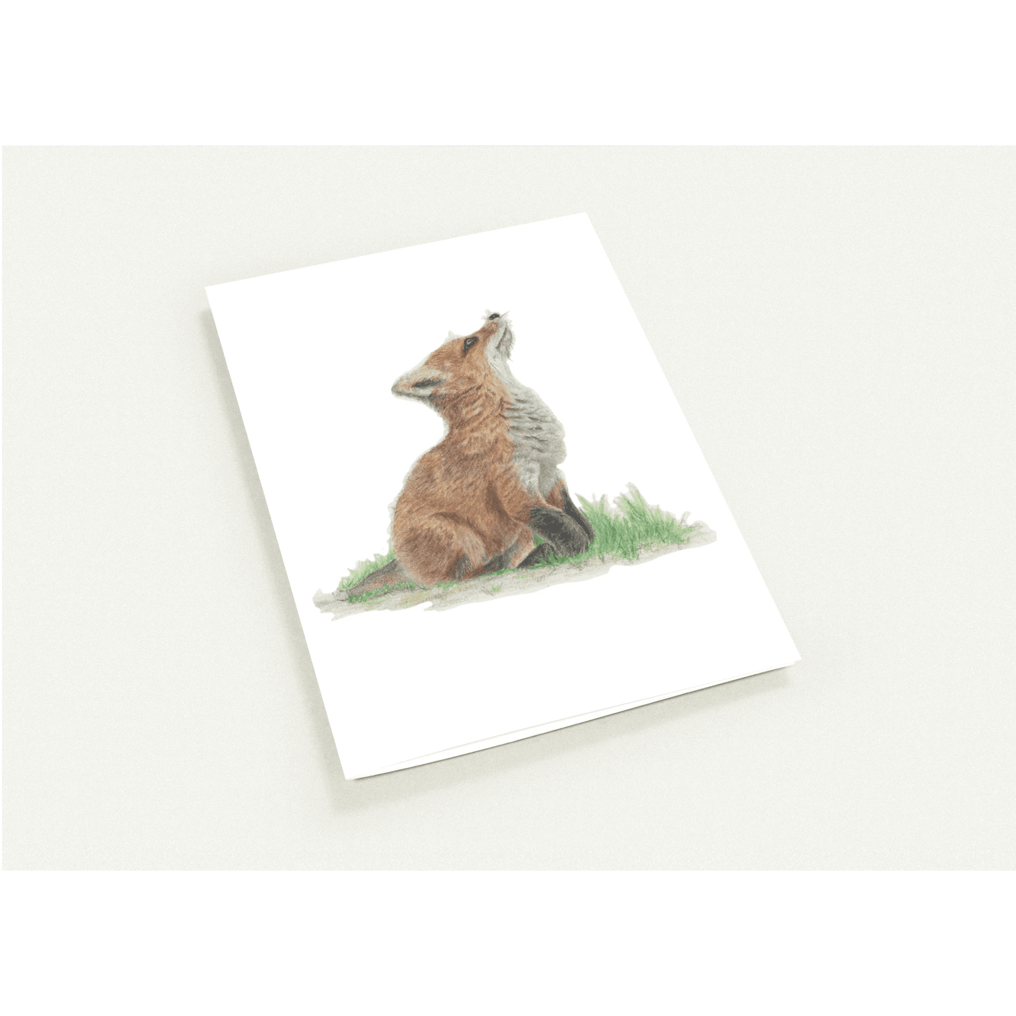 'Fox Cub' Greetings Cards (10 Pack) - Ruth's Studio 