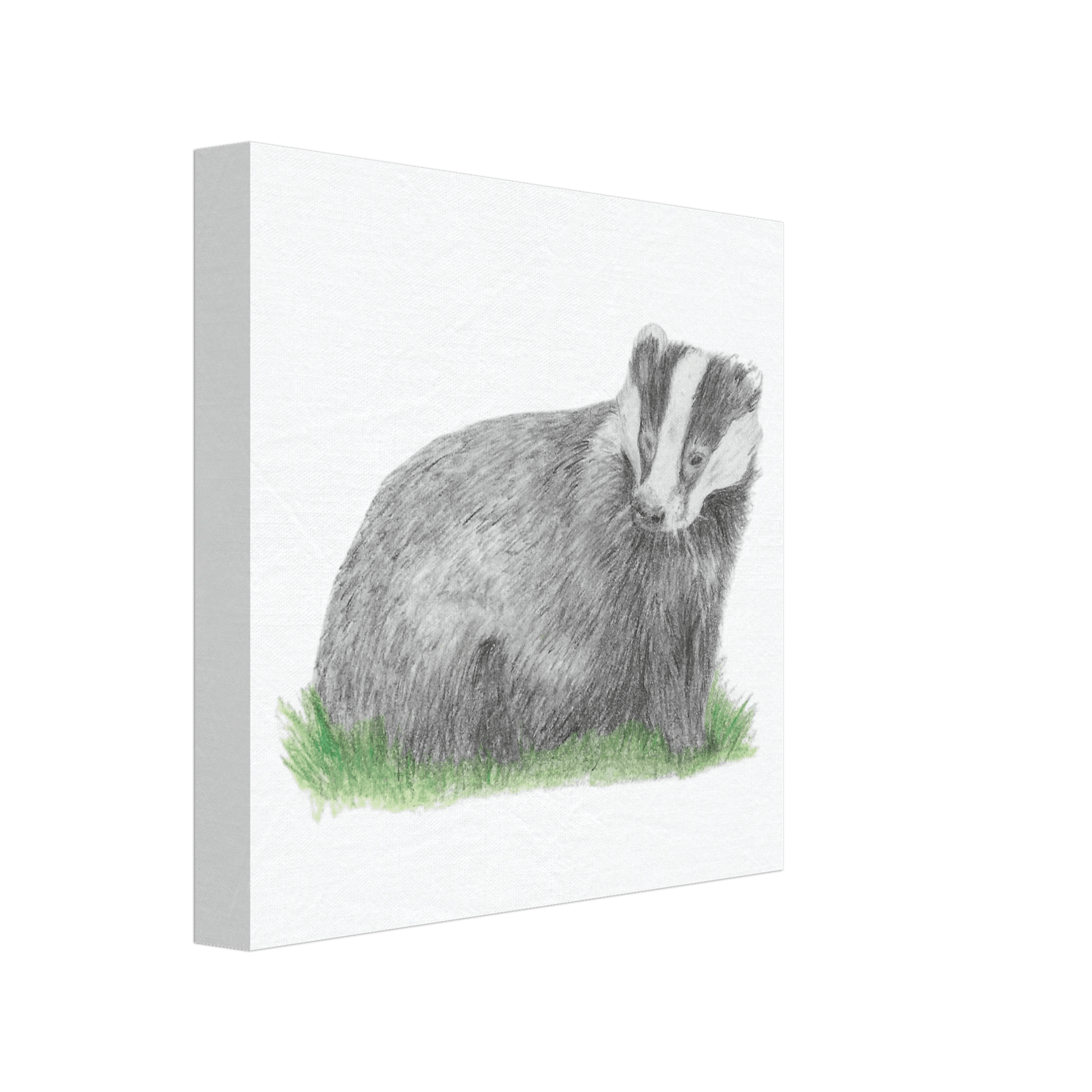 'Badger' Canvas - Ruth's Studio 