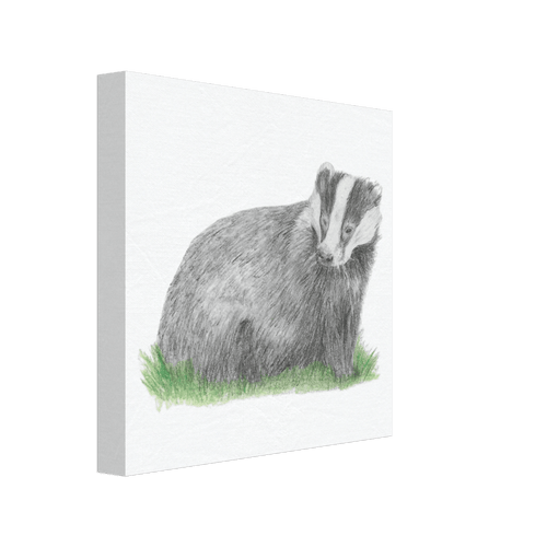 'Badger' Canvas - Ruth's Studio 