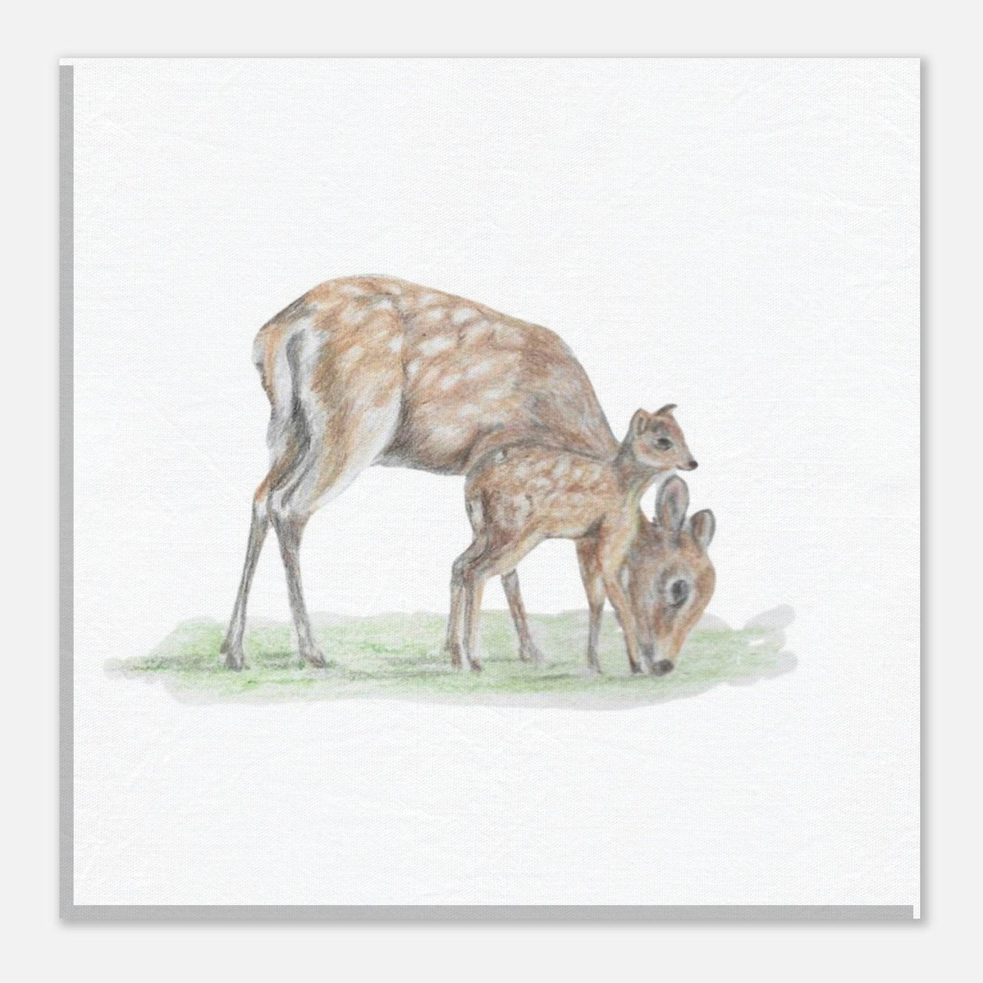 'Sika Deer' Canvas - Ruth's Studio 