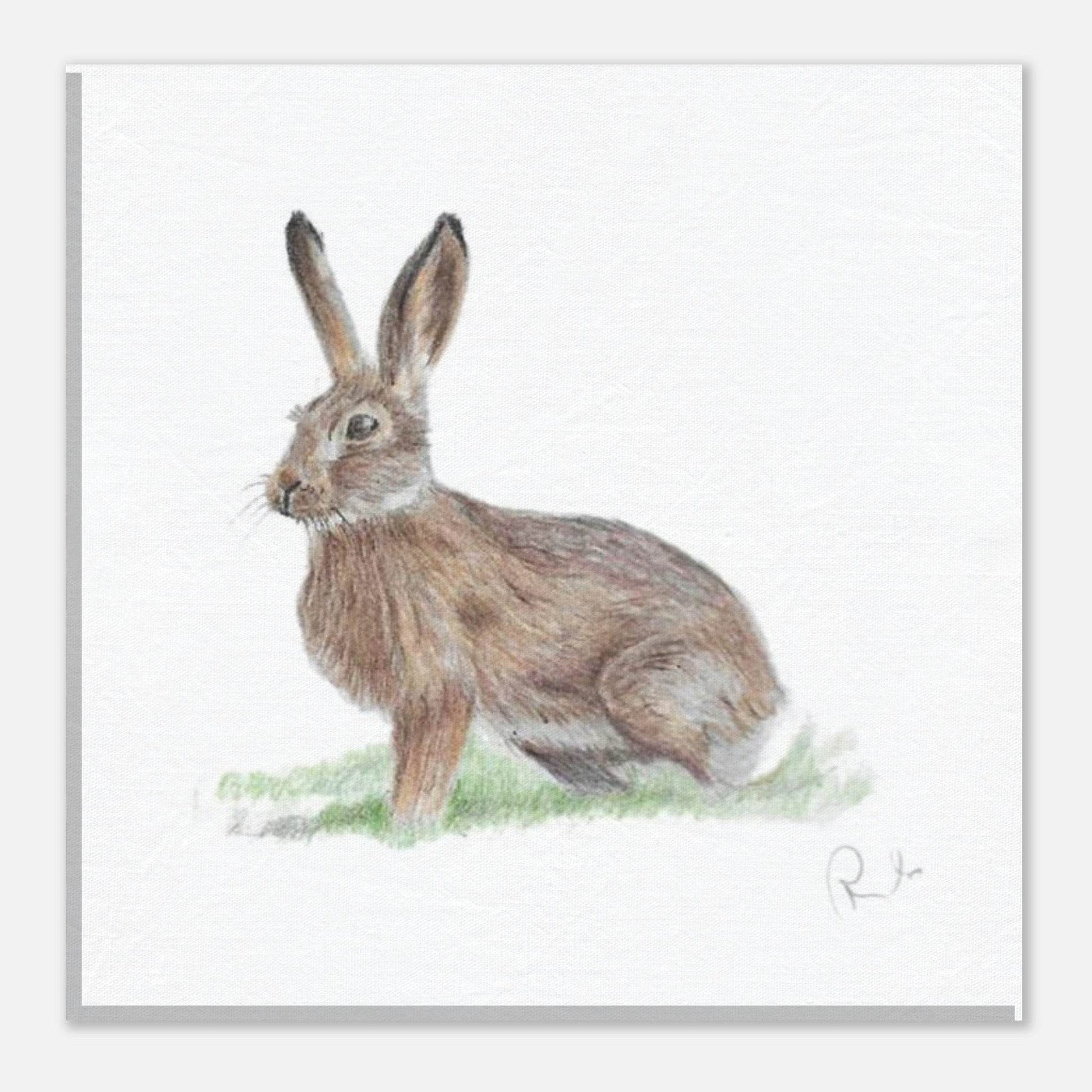 'Brown Hare' Canvas - Ruth's Studio 