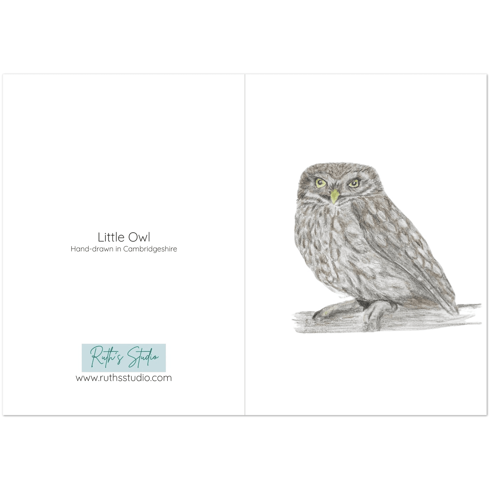 'Little Owl' Greeting Cards (10 pack) - Ruth's Studio 