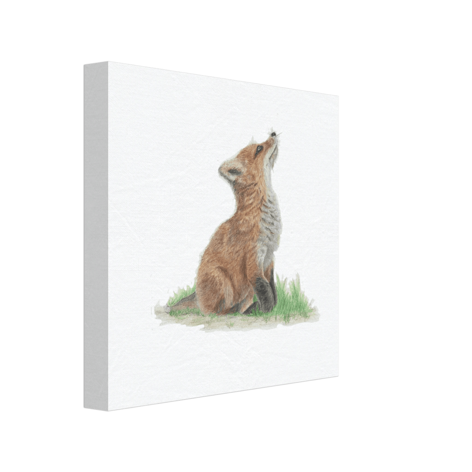 'Fox Cub' Canvas - Ruth's Studio 