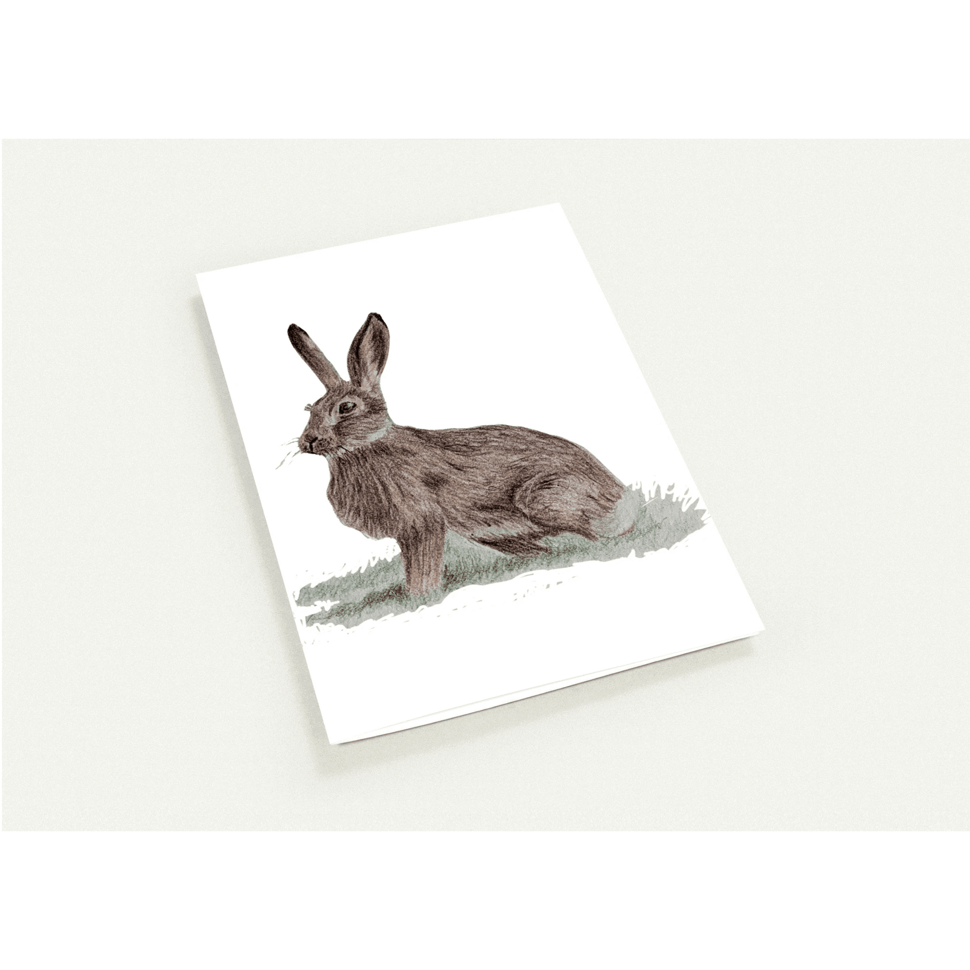 'Brown Hare' Greeting Cards (10 pack) - Ruth's Studio 