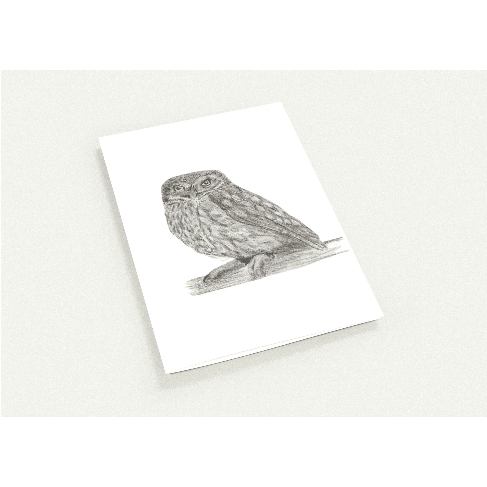 'Little Owl' Greeting Cards (10 pack) - Ruth's Studio 