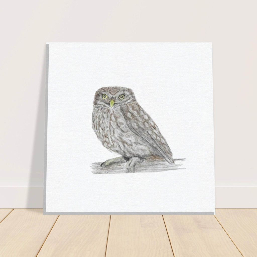 'Little Owl' Canvas - Ruth's Studio 
