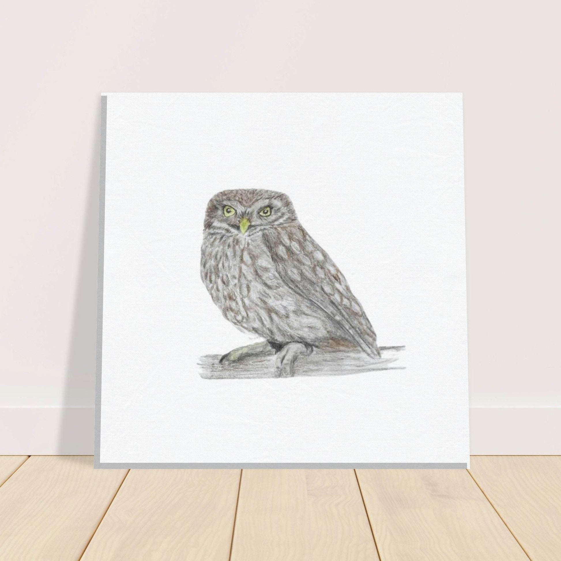 'Little Owl' Canvas - Ruth's Studio 