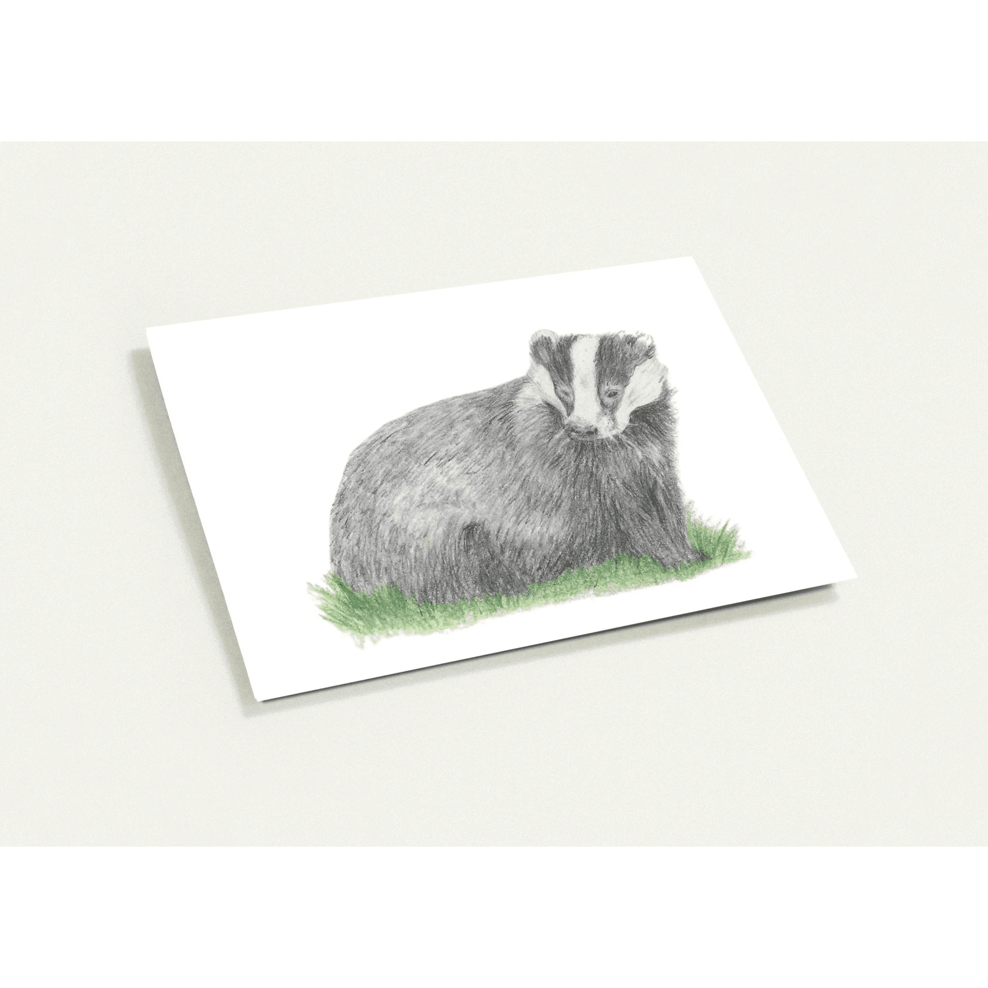 'Badger' Greeting Cards (10 pack) - Ruth's Studio 