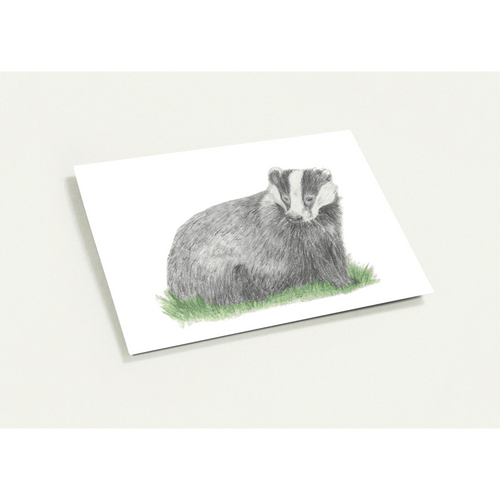 'Badger' Greeting Cards (10 pack) - Ruth's Studio 