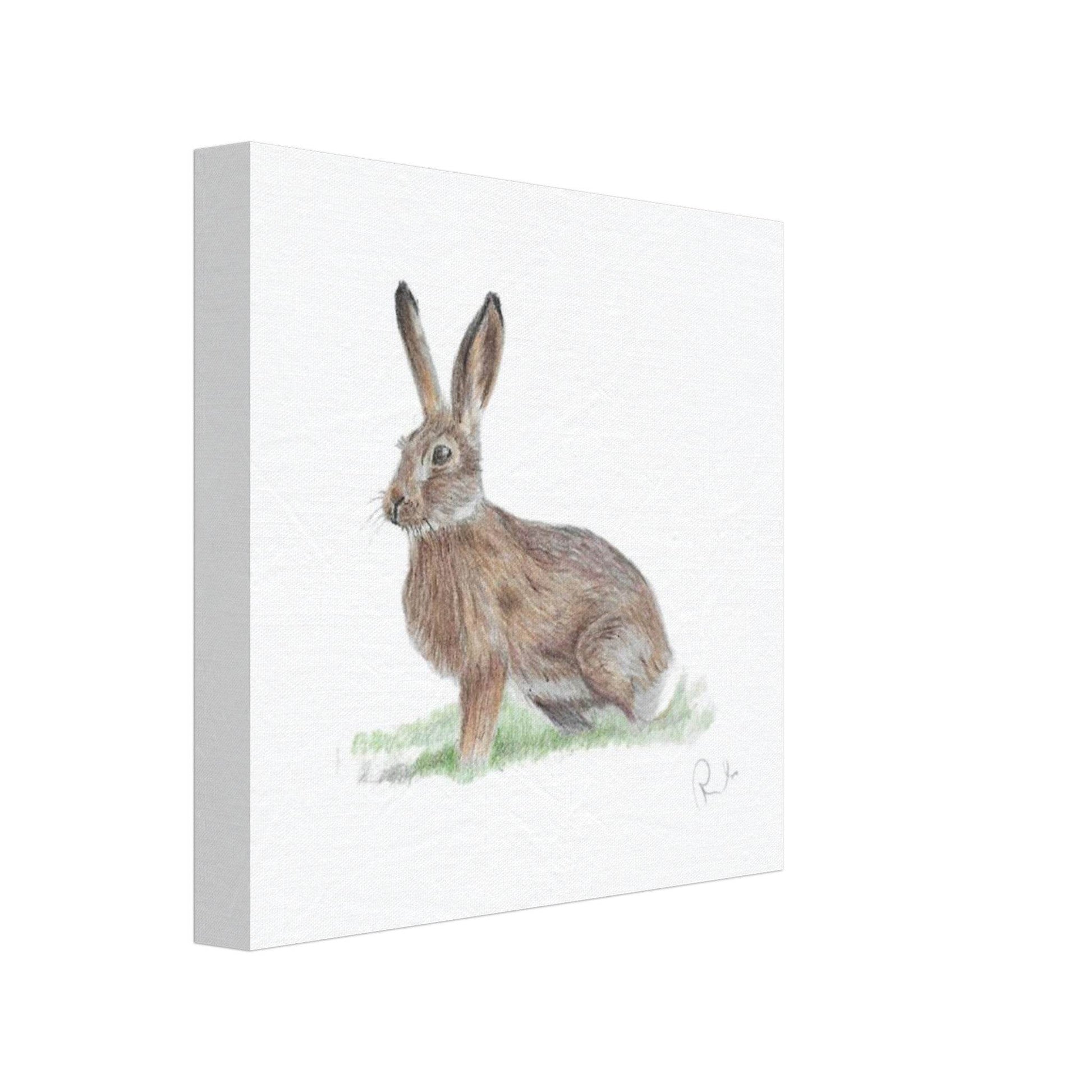 'Brown Hare' Canvas - Ruth's Studio 