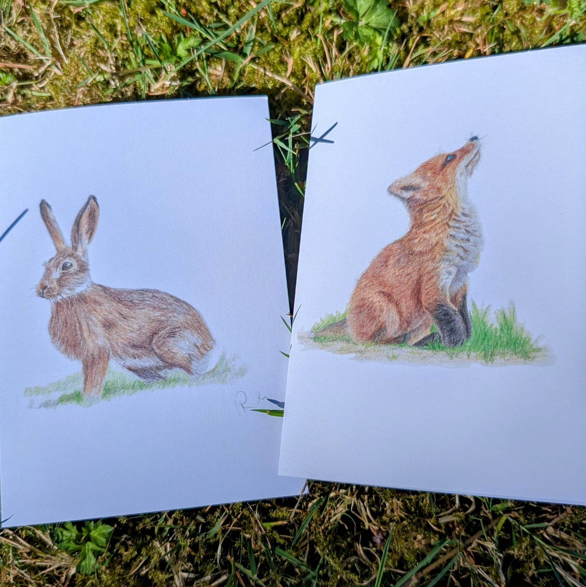 'Brown Hare' Greetings card - Ruth's Studio 