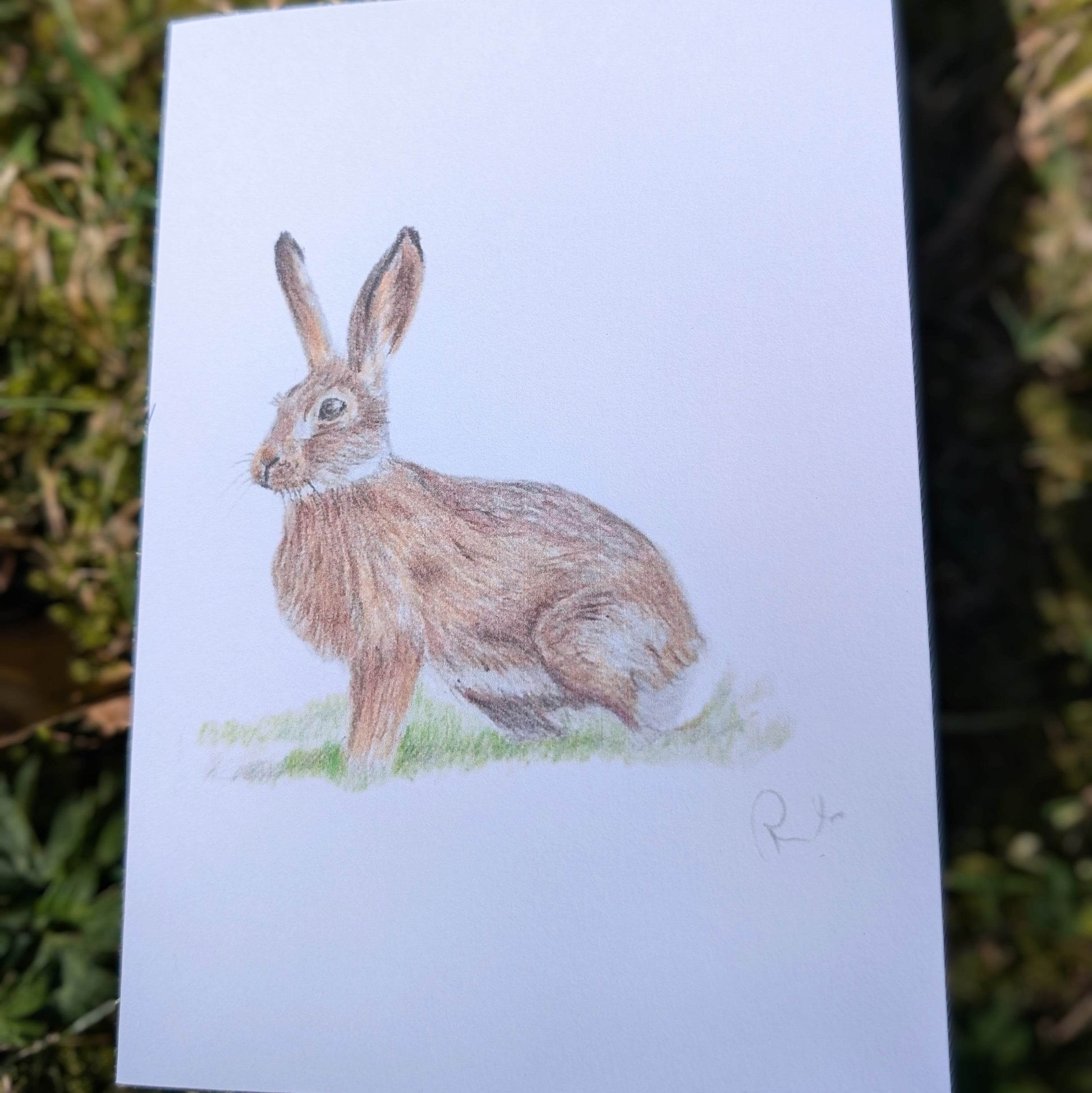 'Brown Hare' Greetings card - Ruth's Studio 