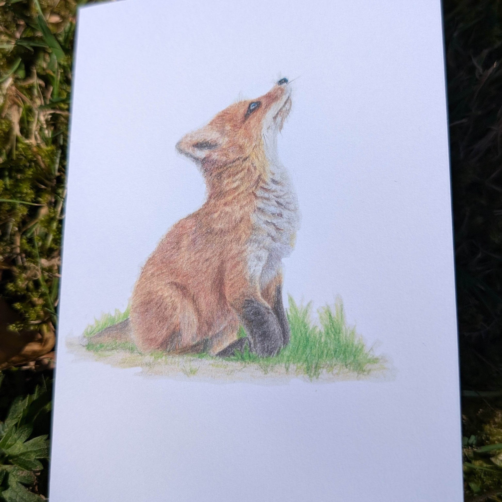 'Fox Cub' Greeting card - Ruth's Studio 