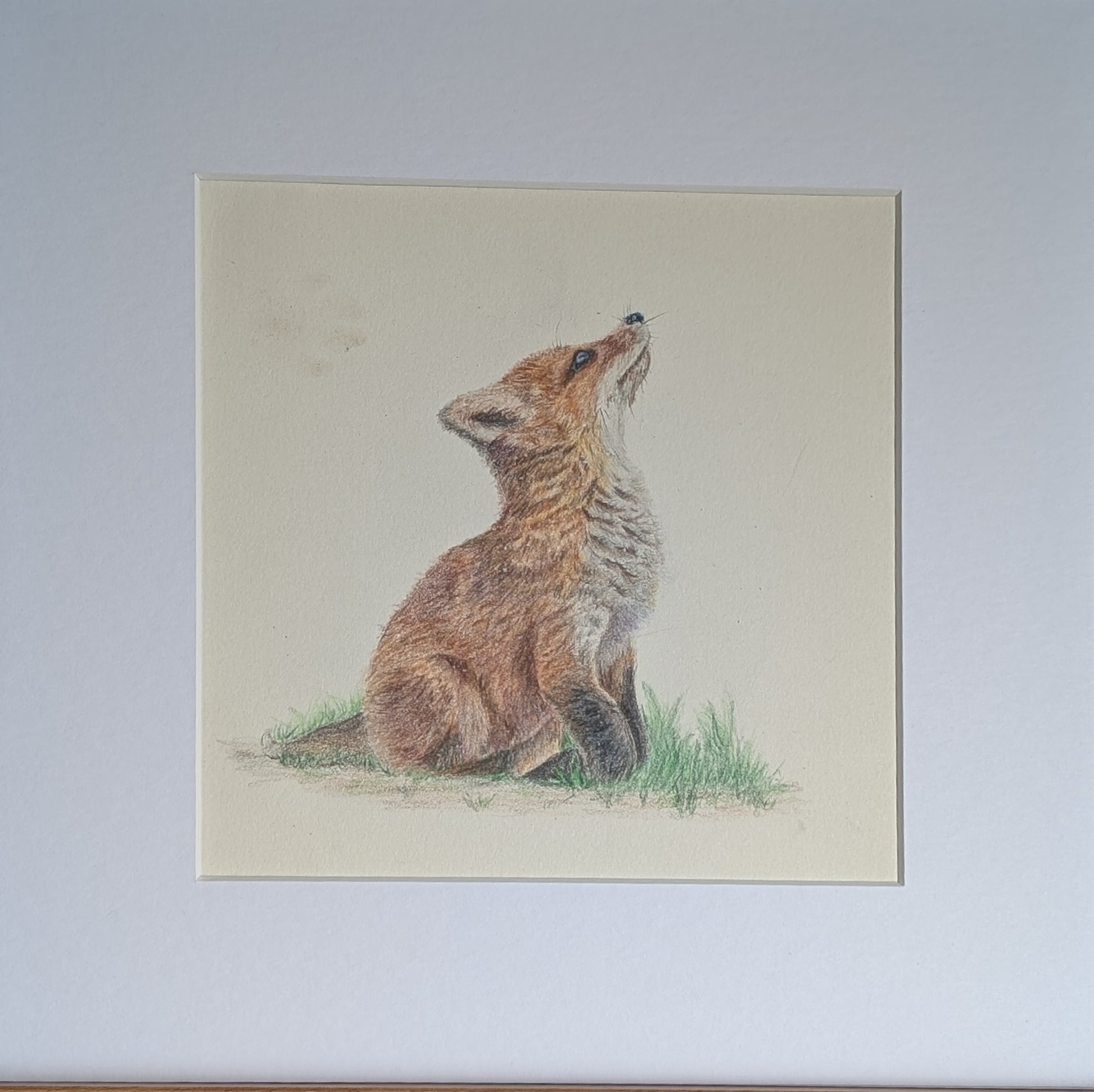 'Fox cub' Original artwork