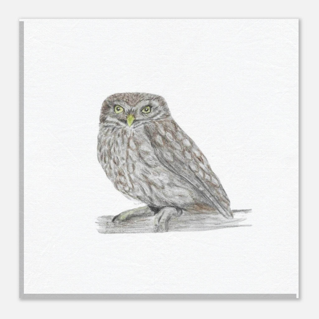 'Little Owl' Canvas - Ruth's Studio 