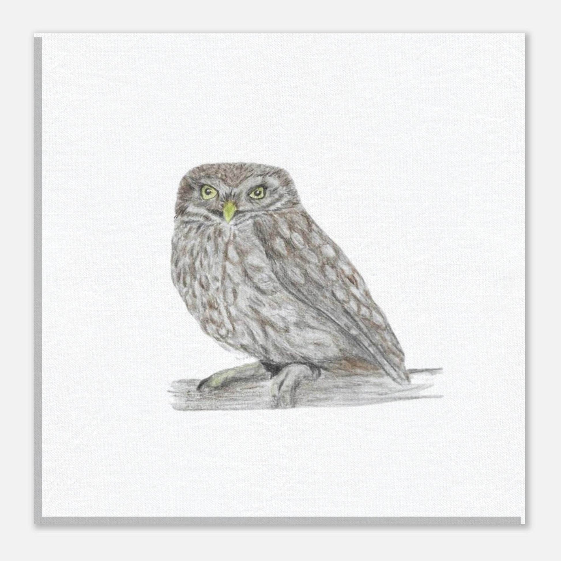 'Little Owl' Canvas - Ruth's Studio 
