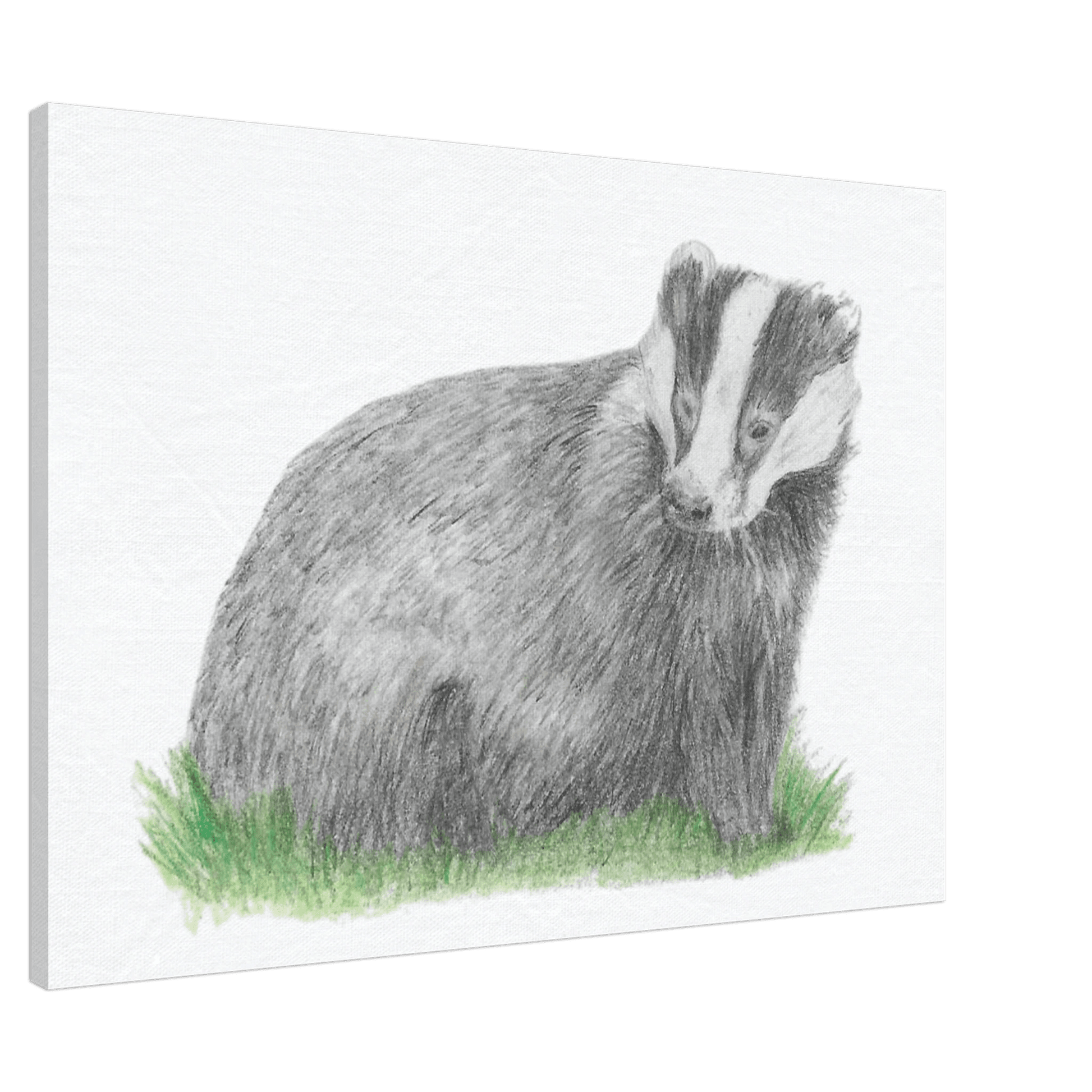 'Badger' Canvas - Ruth's Studio 
