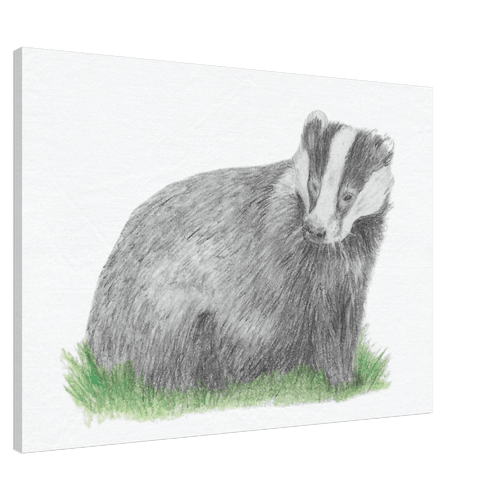 'Badger' Canvas - Ruth's Studio 