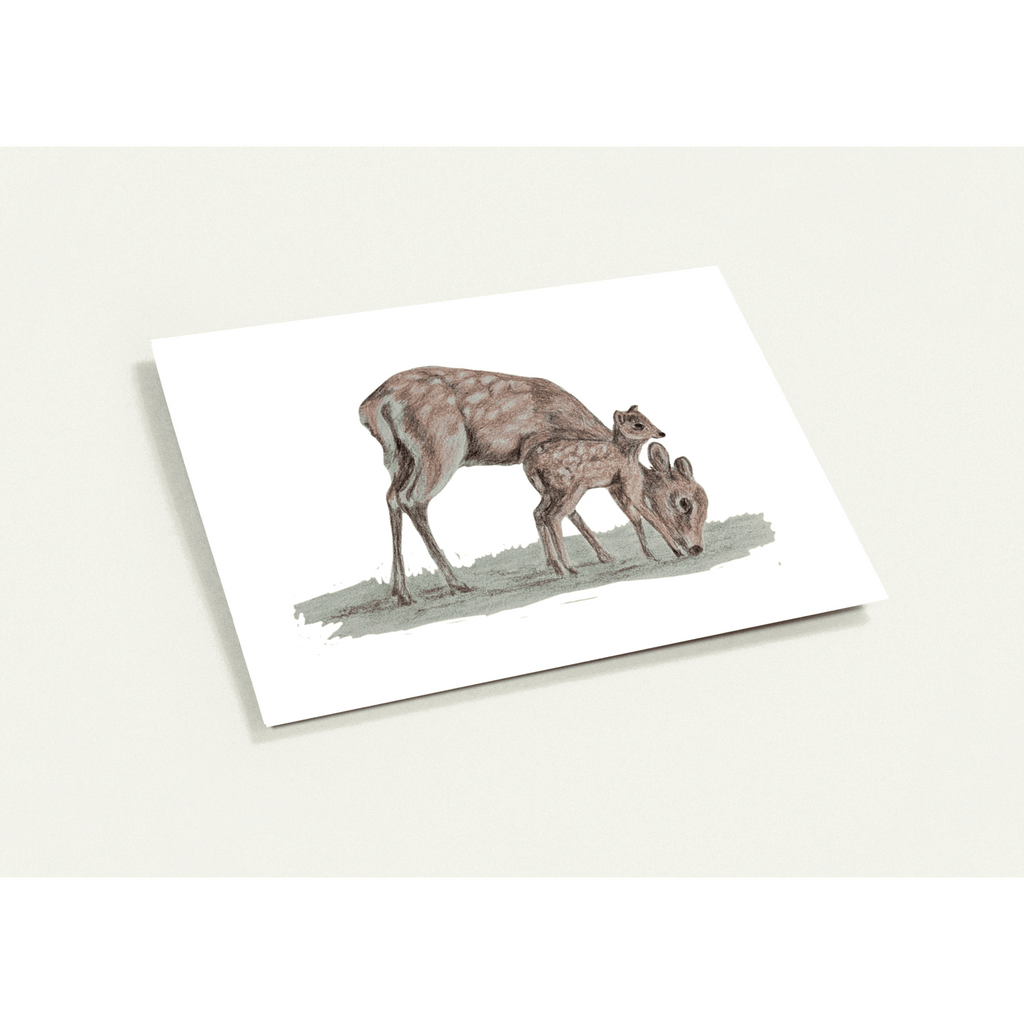 'Sika Deer' Greeting Cards (10 pack) - Ruth's Studio 