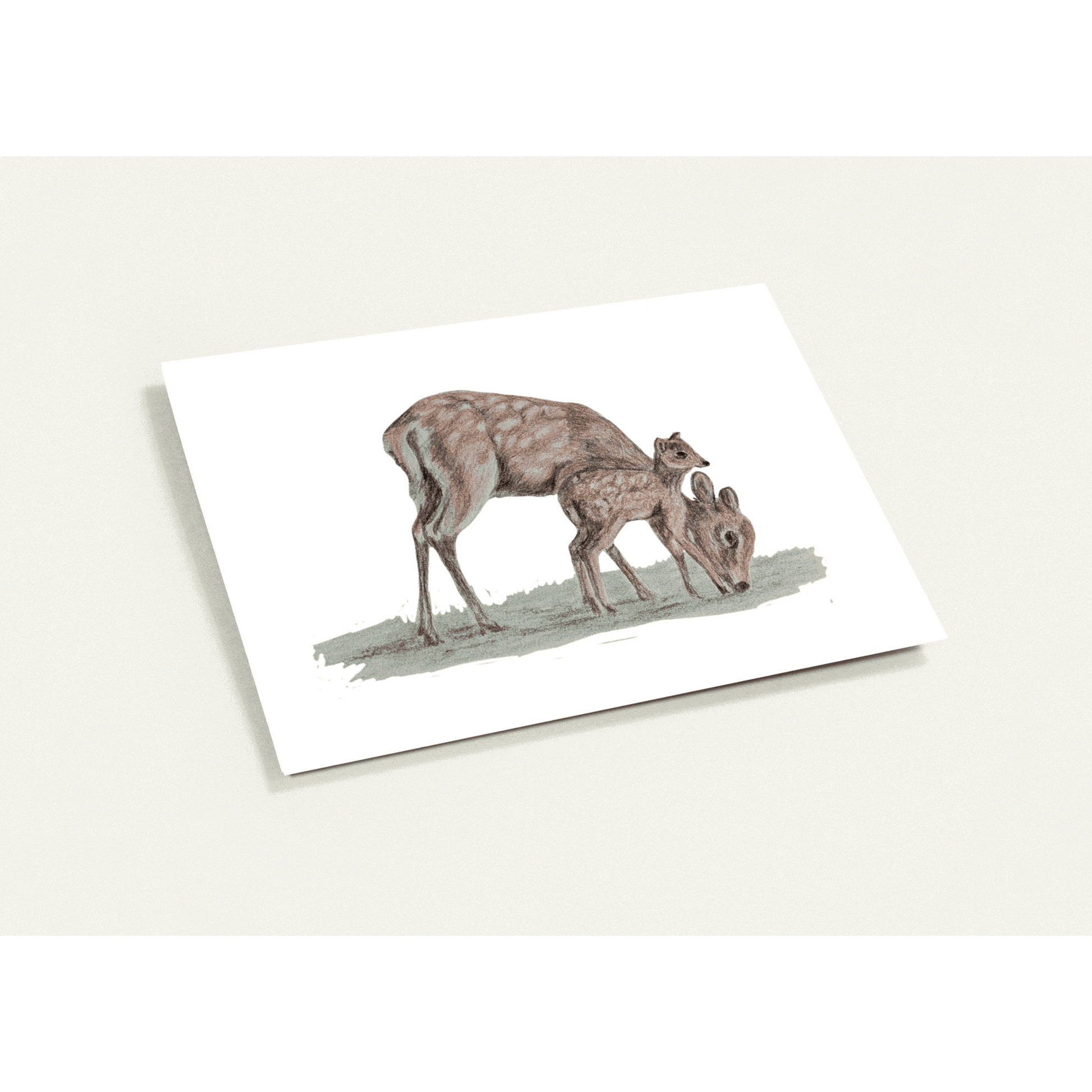 'Sika Deer' Greeting Cards (10 pack) - Ruth's Studio 