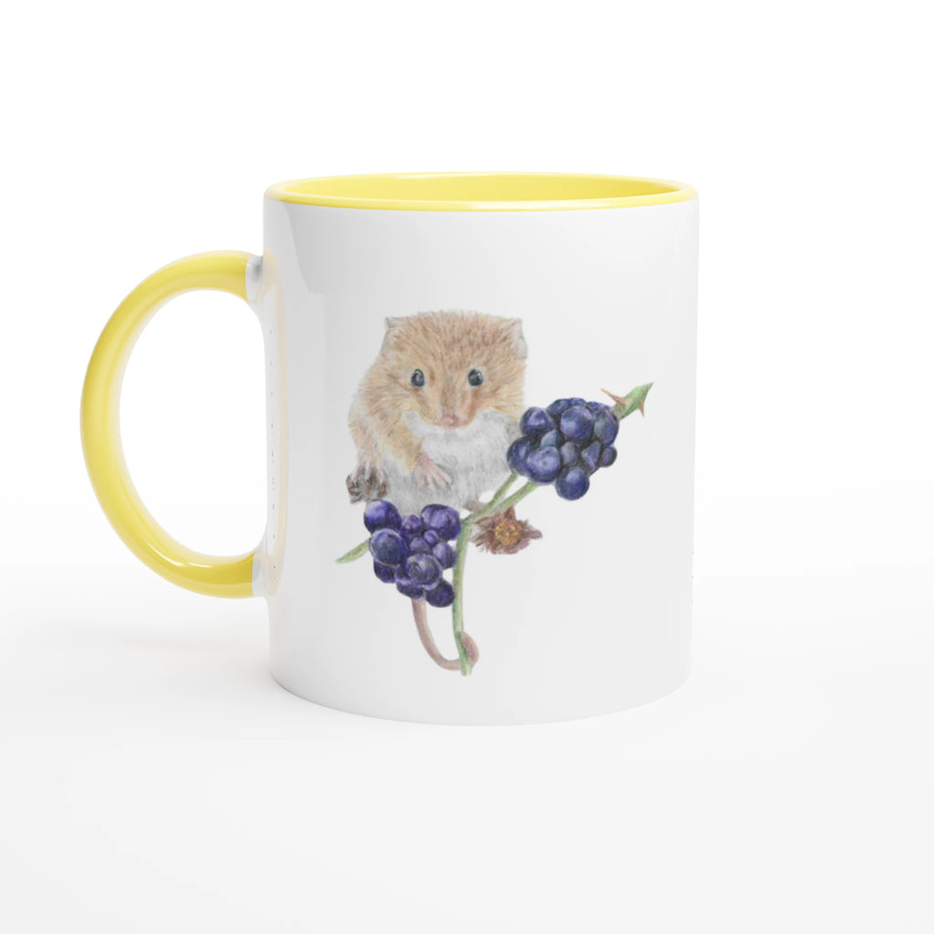 c9d31e80-93c0-42d6-9c0c-f138ba457ee2