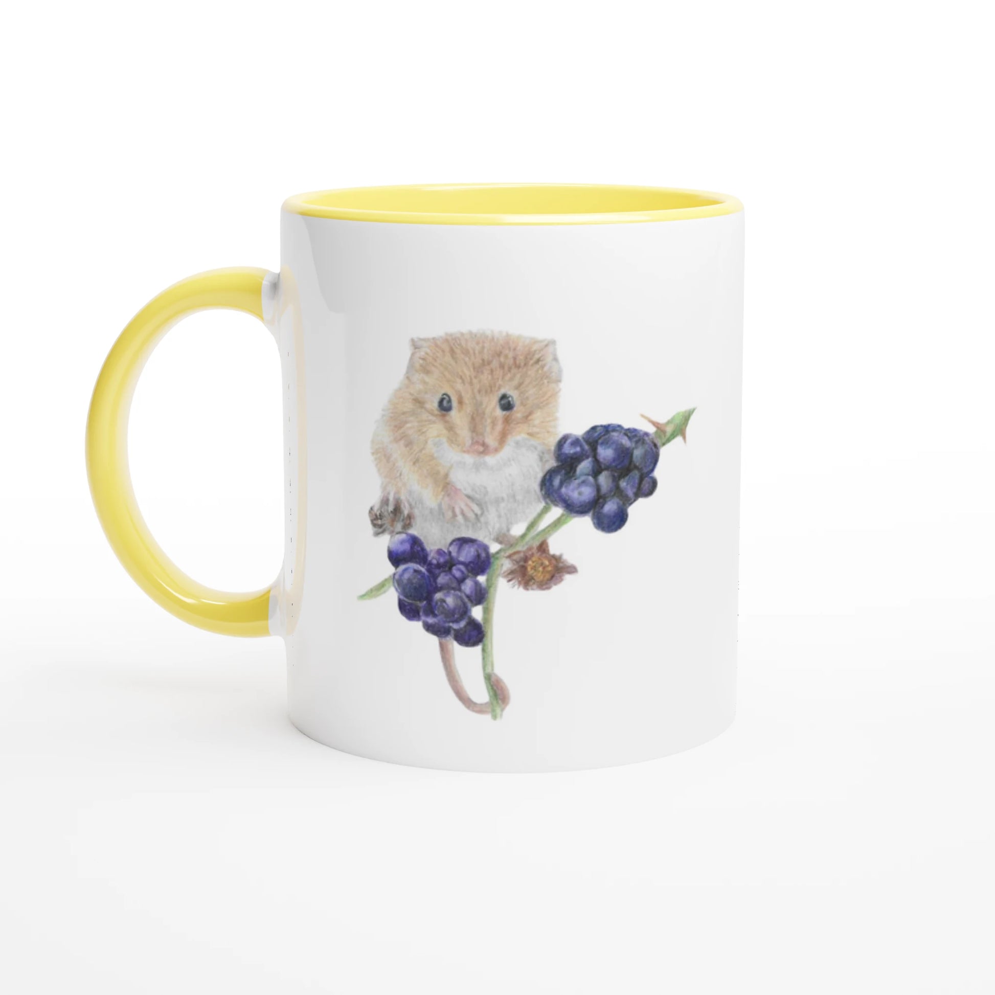 c9d31e80-93c0-42d6-9c0c-f138ba457ee2