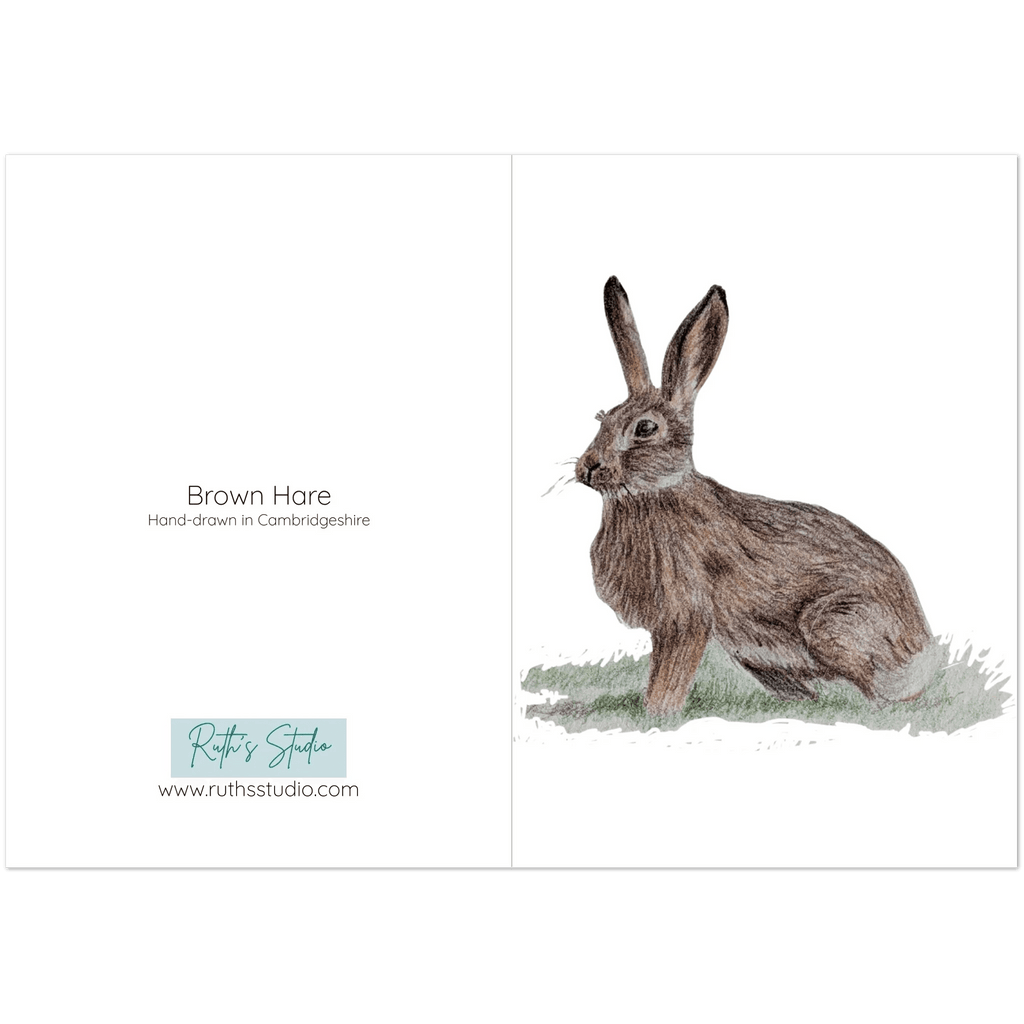 'Brown Hare' Greeting Cards (10 pack) - Ruth's Studio 