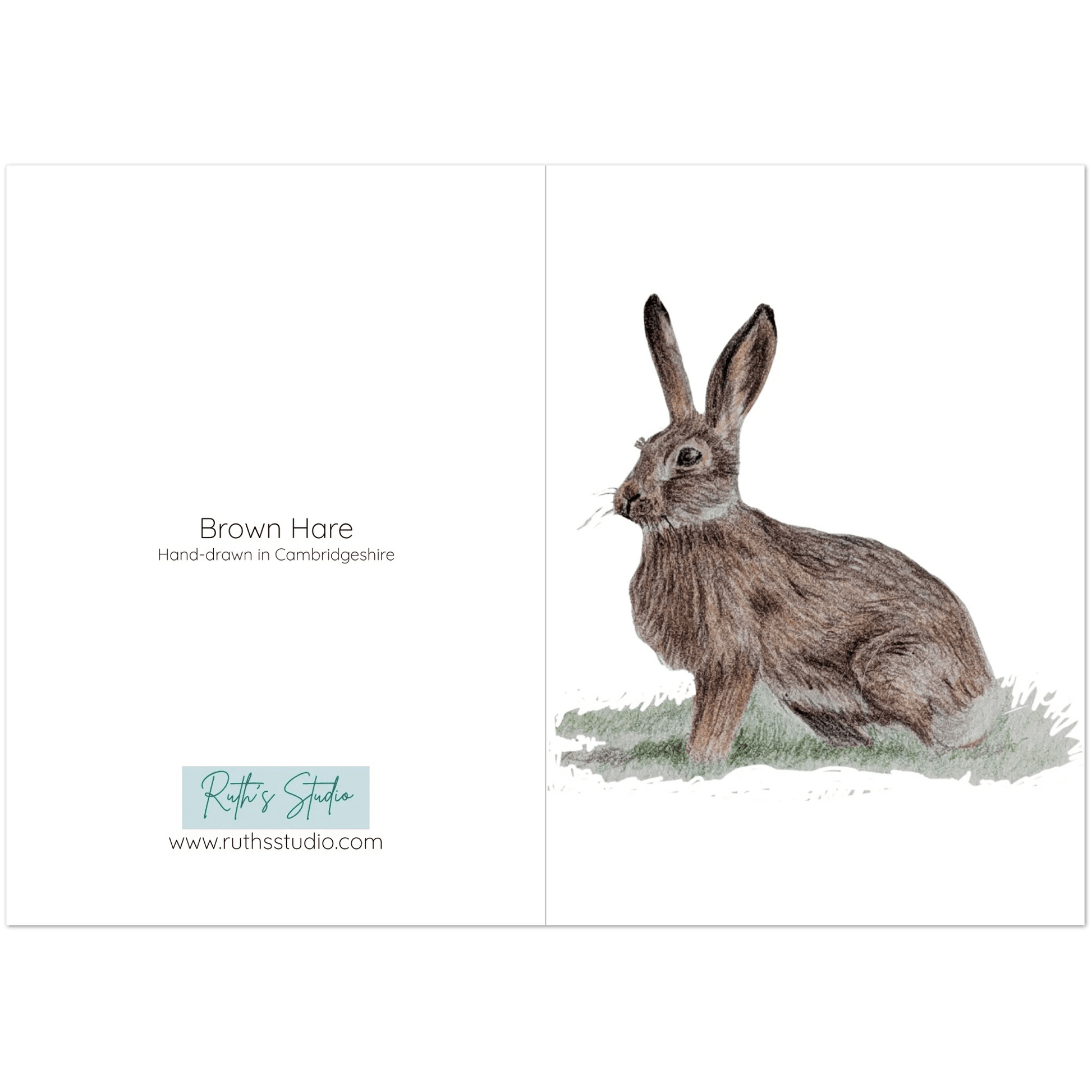 'Brown Hare' Greeting Cards (10 pack) - Ruth's Studio 