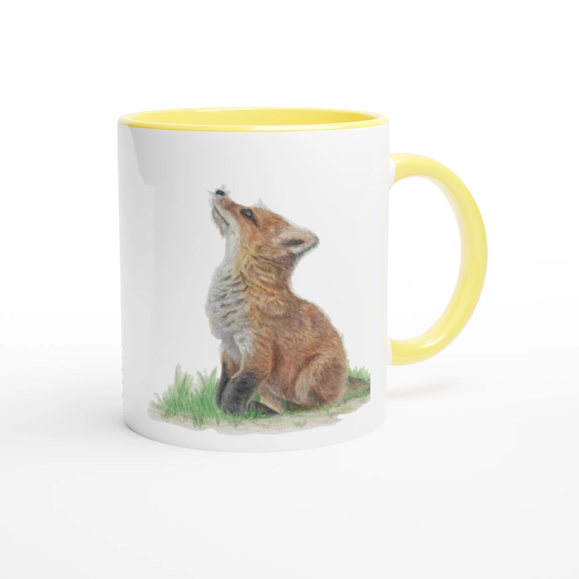 cd91e025-e67a-42b0-811d-c1fb904fa22d