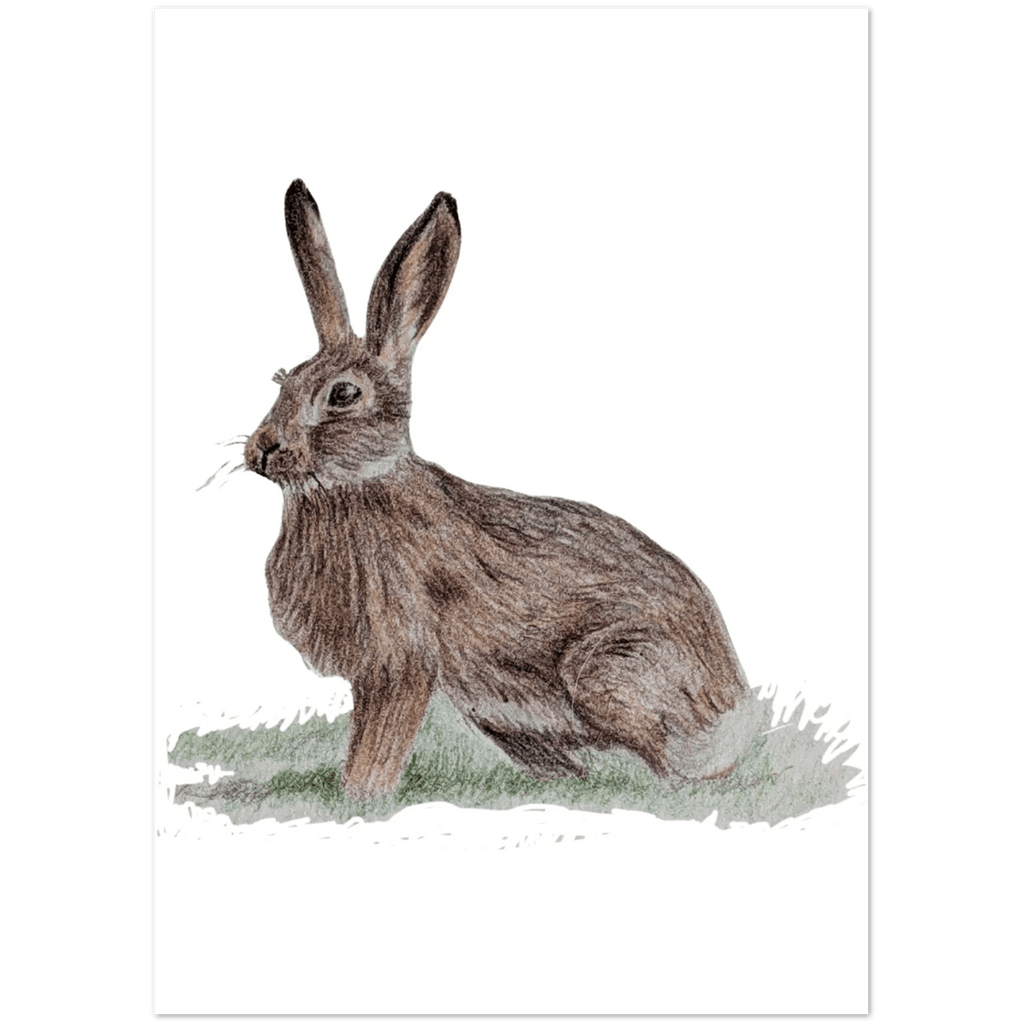 'Brown Hare' Greeting Cards (10 pack) - Ruth's Studio 