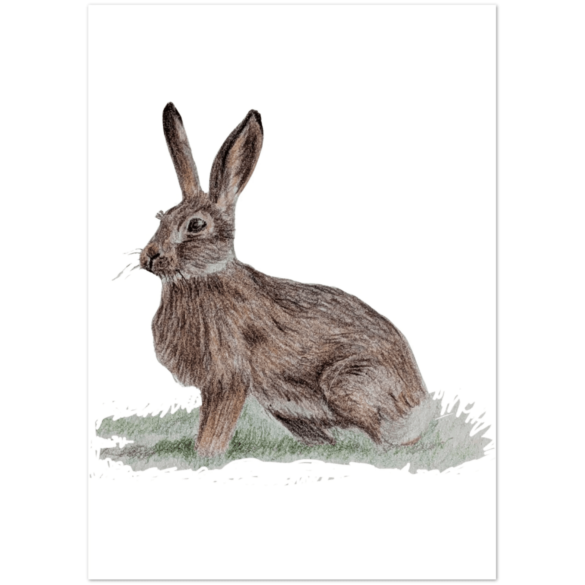 'Brown Hare' Greeting Cards (10 pack) - Ruth's Studio 