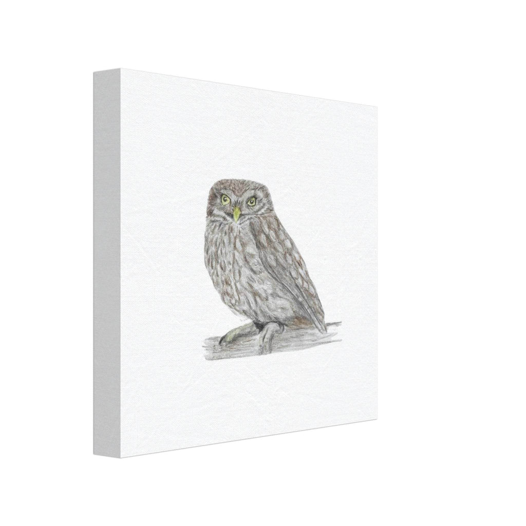 'Little Owl' Canvas - Ruth's Studio 