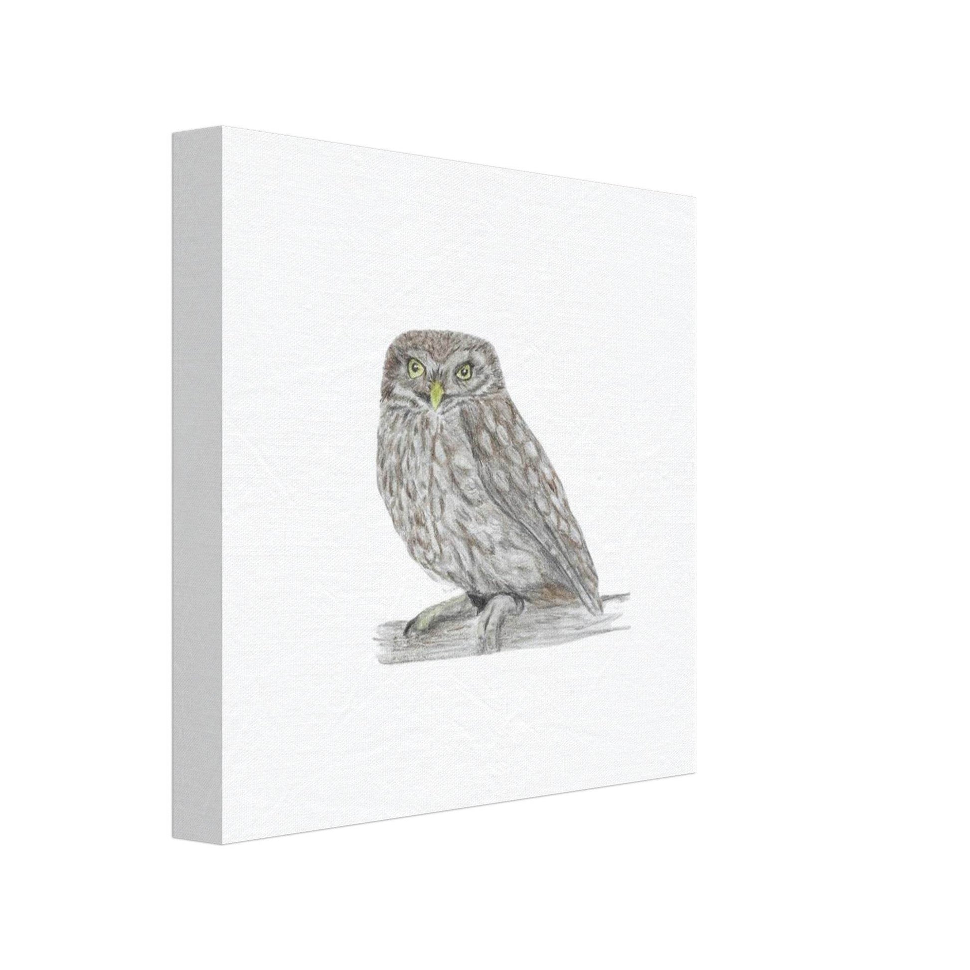 'Little Owl' Canvas - Ruth's Studio 