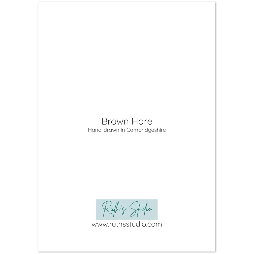 'Brown Hare' Greeting Cards (10 pack) - Ruth's Studio 