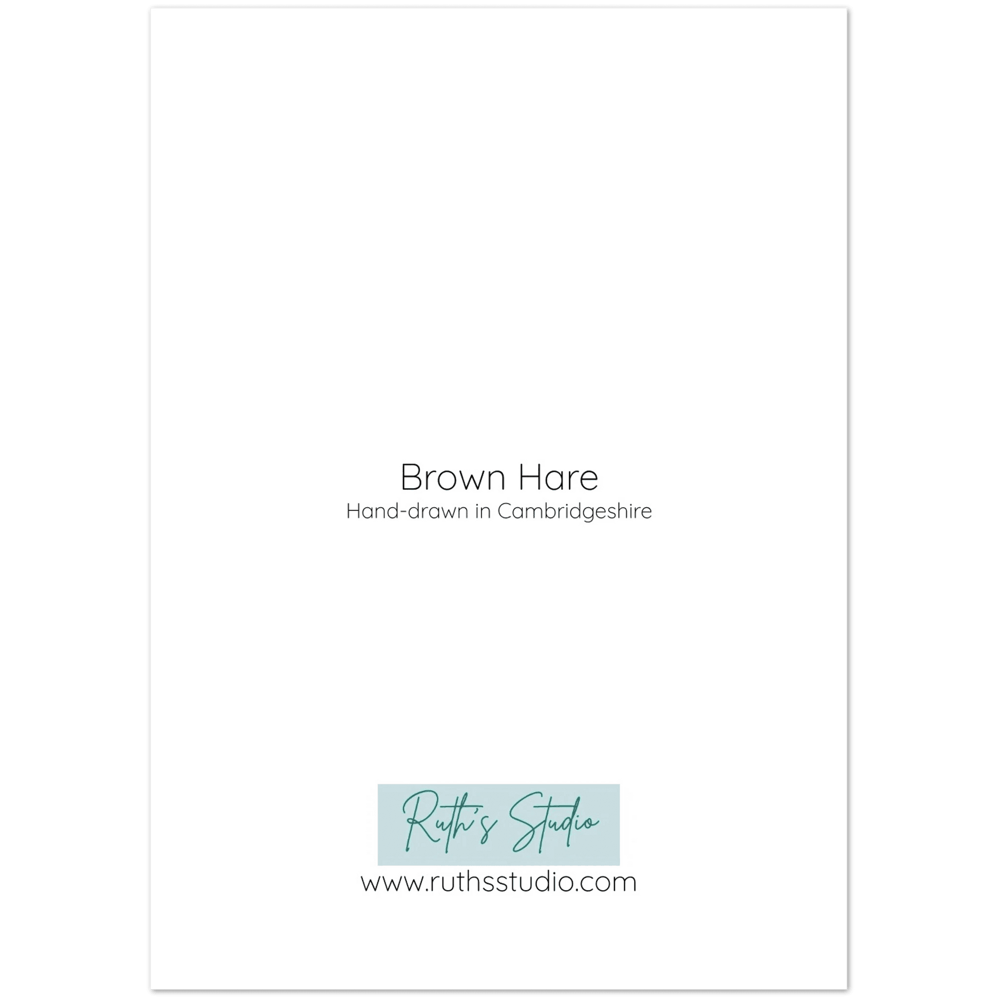 'Brown Hare' Greeting Cards (10 pack) - Ruth's Studio 