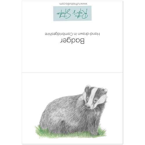 'Badger' Greeting Cards (10 pack) - Ruth's Studio 