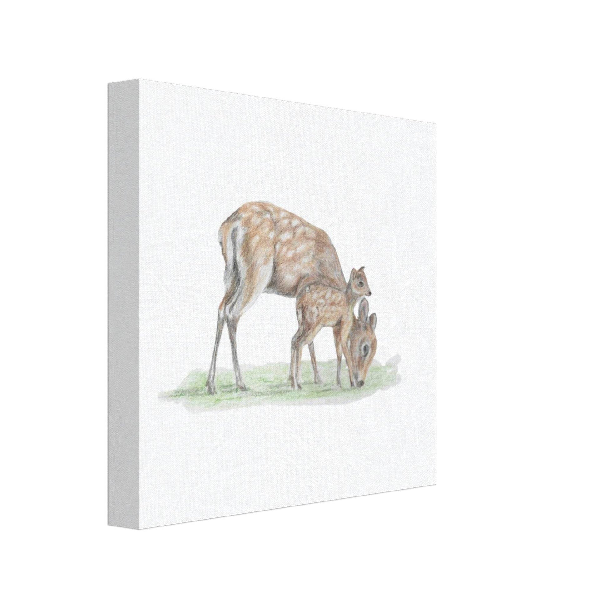 'Sika Deer' Canvas - Ruth's Studio 