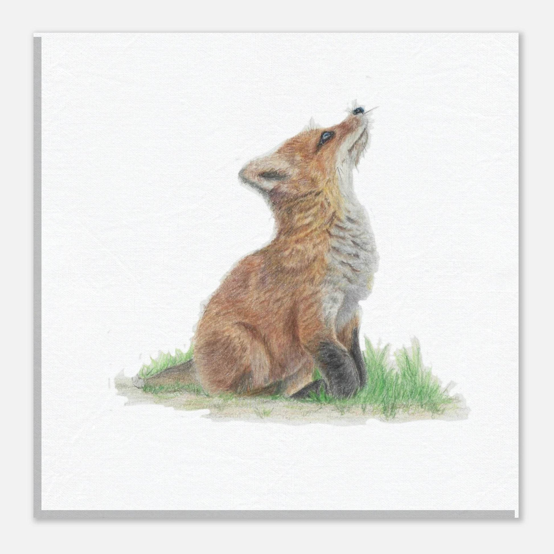 'Fox Cub' Canvas - Ruth's Studio 