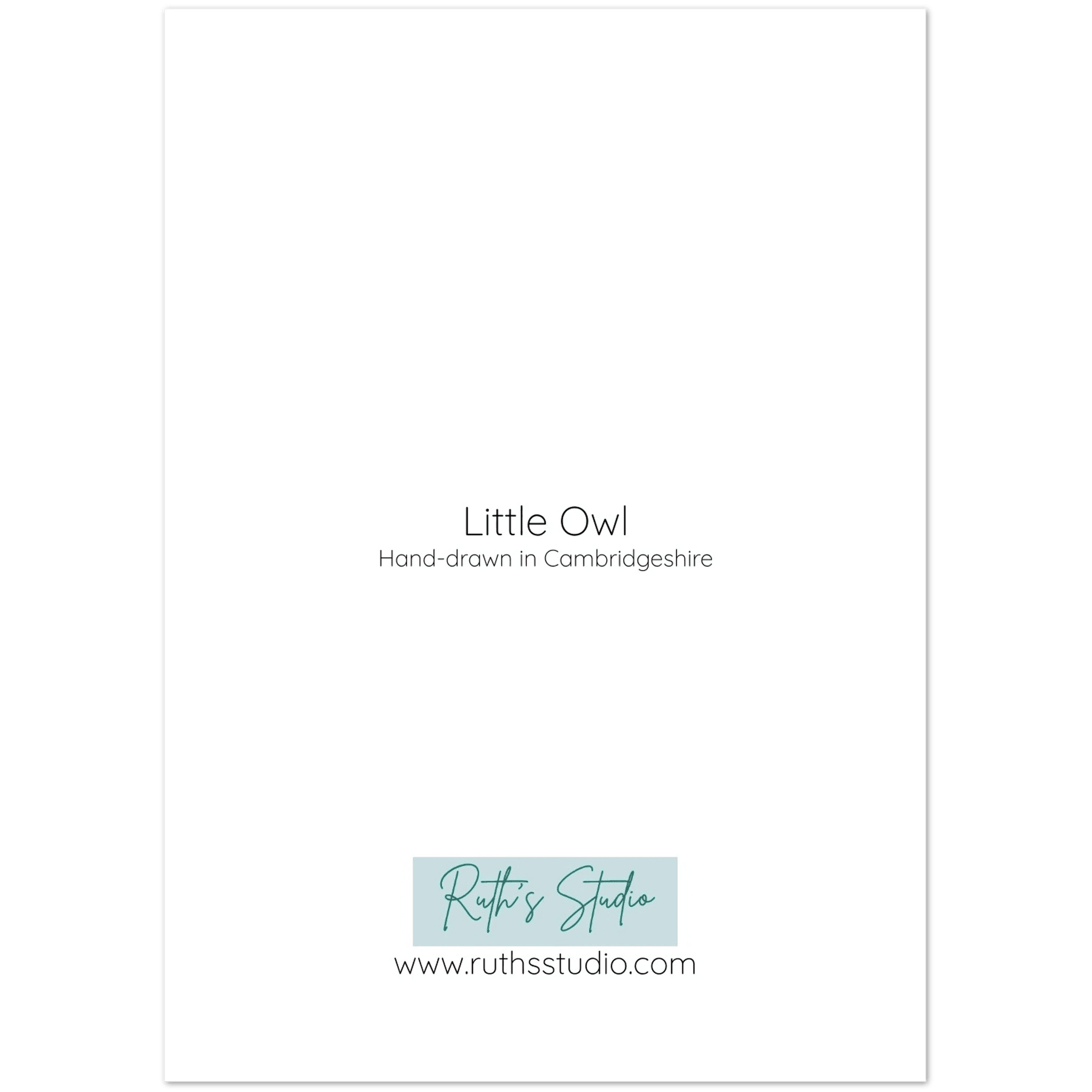 'Little Owl' Greeting Cards (10 pack) - Ruth's Studio 