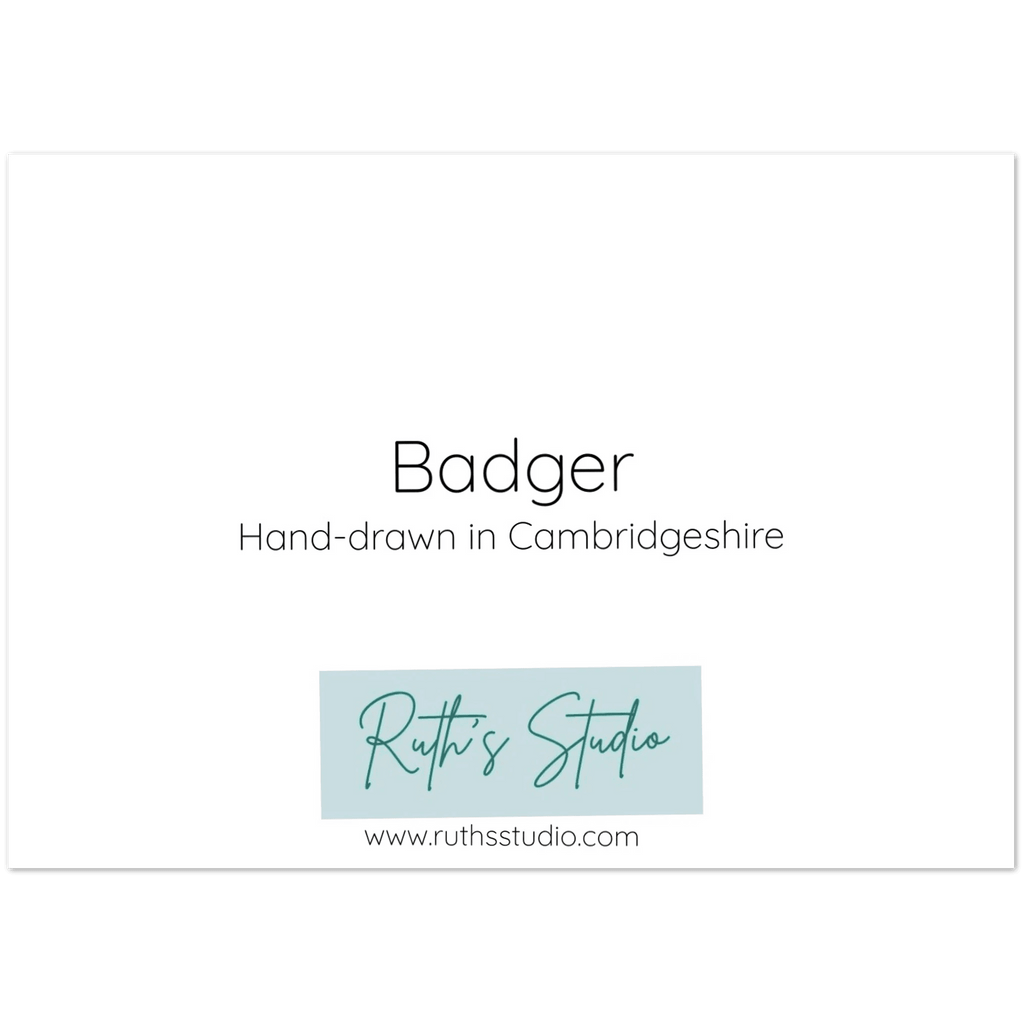 'Badger' Greeting Cards (10 pack) - Ruth's Studio 
