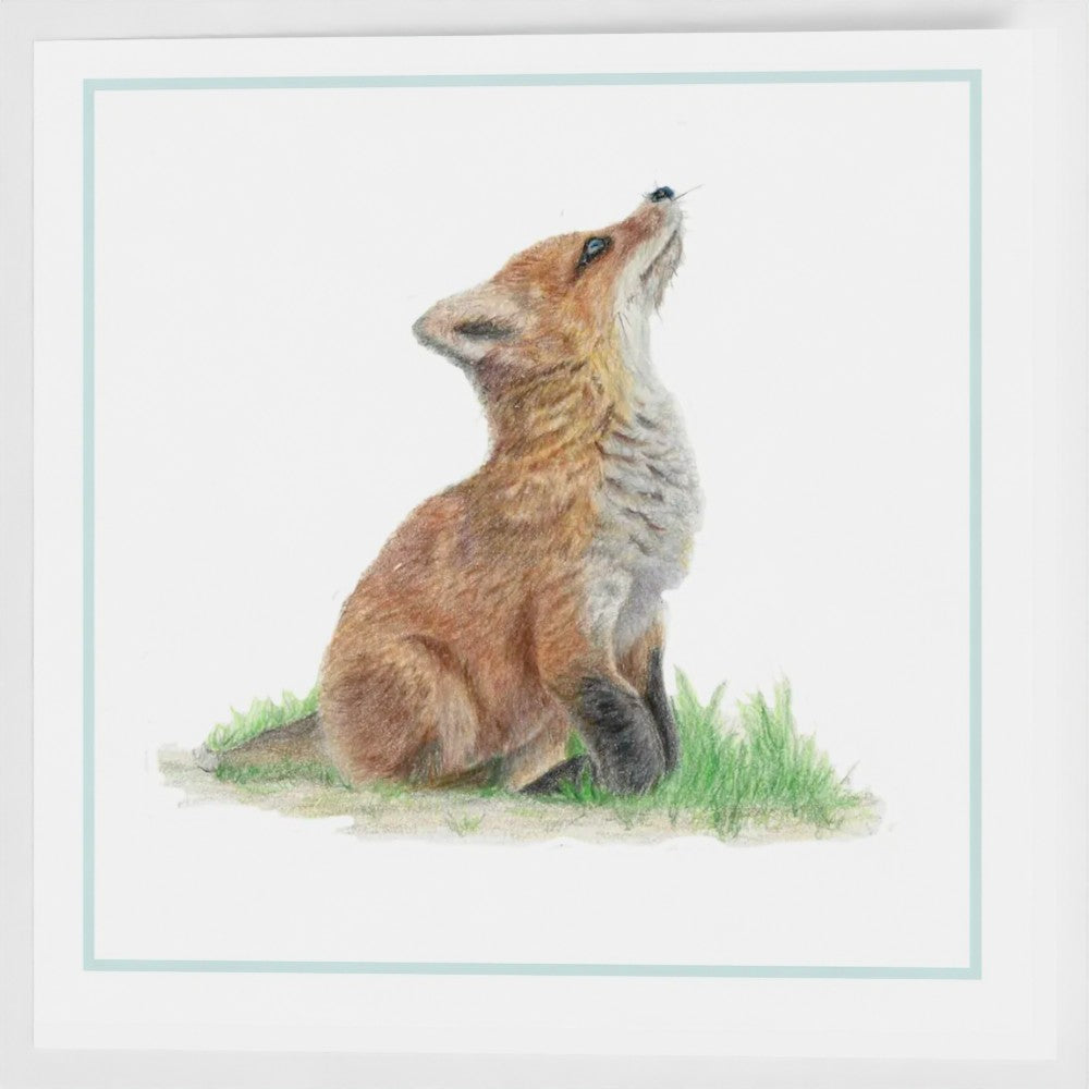 'Fox Cub' Greetings Cards