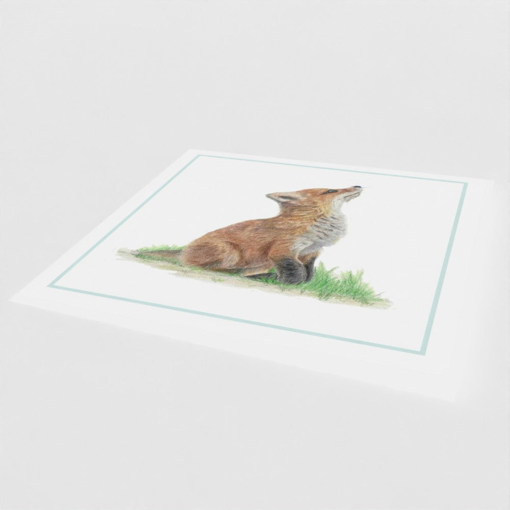 'Fox Cub' Greetings Cards
