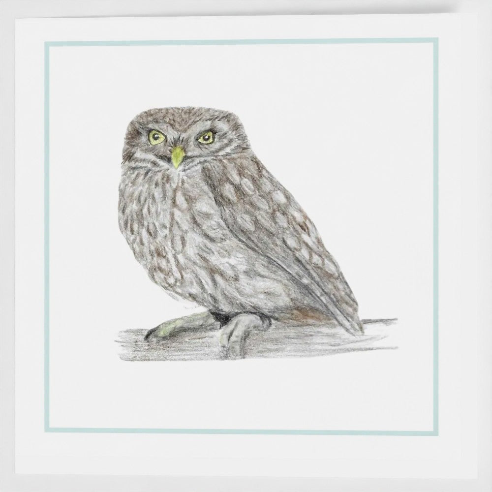 'Little Owl' Greetings card