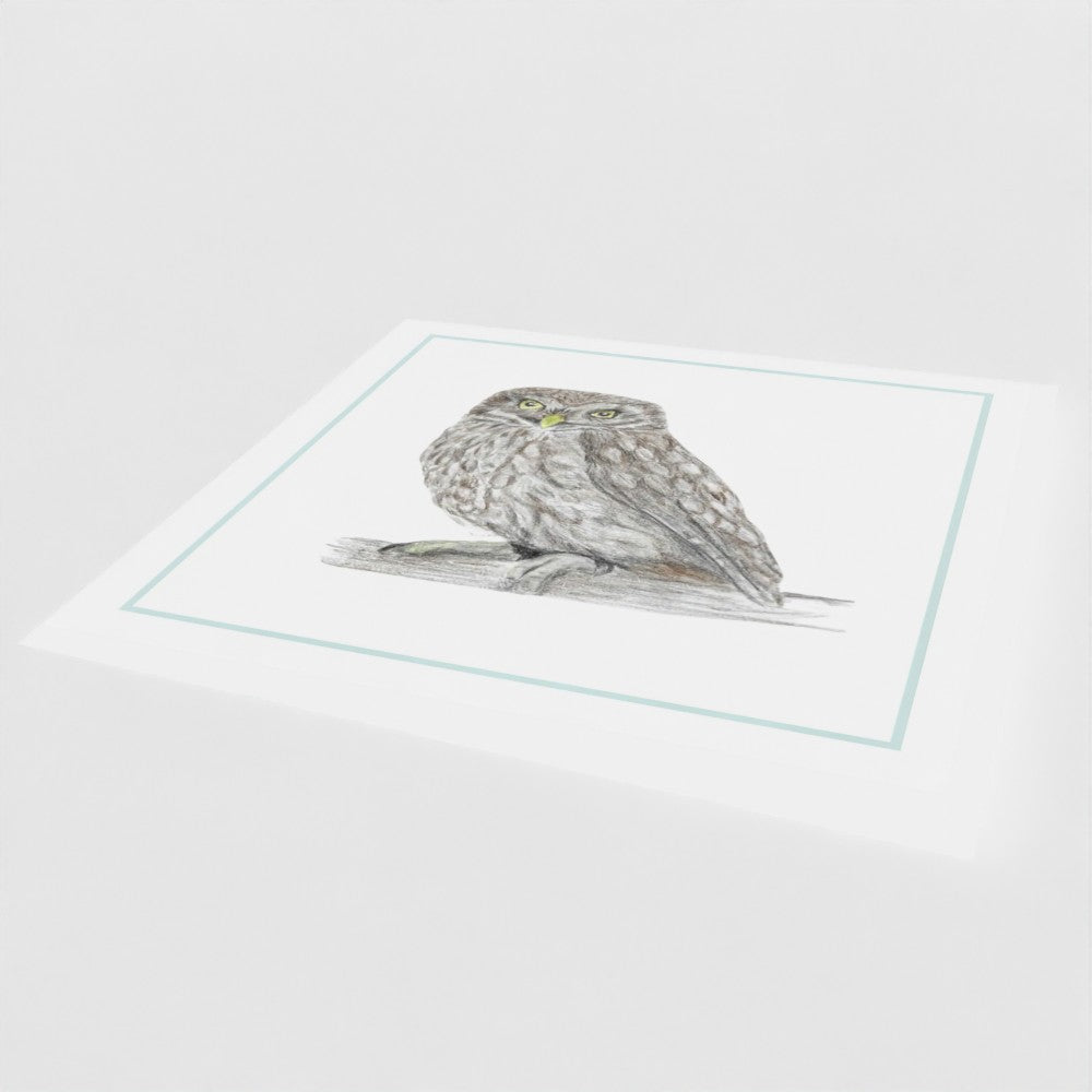 'Little Owl' Greetings card